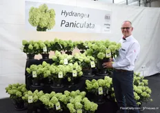 Jaap Stelder van Agriom laat hier zijn nieuwe Hydrangea Paniculata zien, het is een mooie compacte Paniculata die geschikt is voor patio en kleinschalig tuinieren.